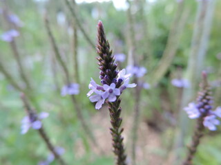 beautée du lac Boivin