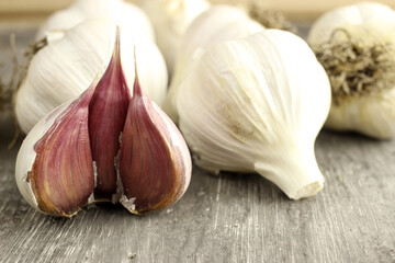 bulbs of unpeeled garlic in a row on a gray background