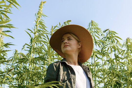 Pretty lady standing on field of hemp