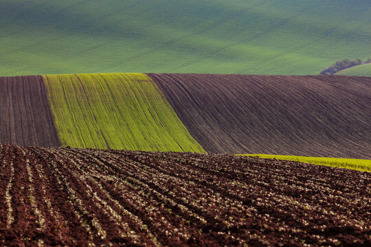 Ploughed soil on spring fields.