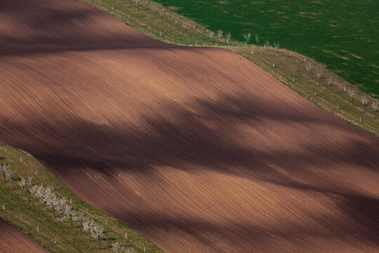 Waves of agricultural fields with shadows.