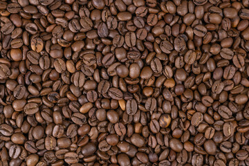 Naklejka premium Grains of coffee. Photo for the background on the theme of coffee.