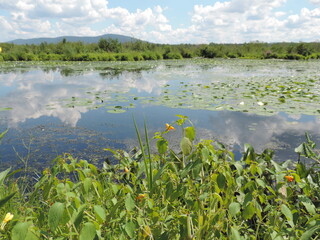 beautée du lac Boivin