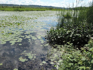 beautée du lac Boivin