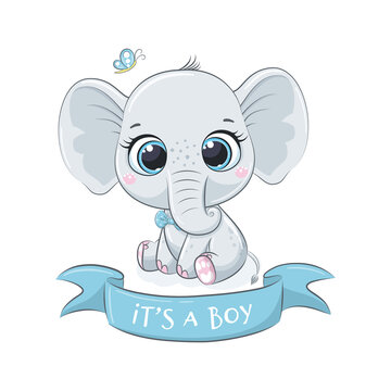 Cute baby elephant with phrase "It's a boy"