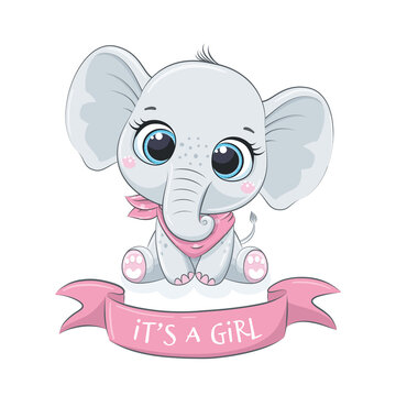 Cute baby elephant with phrase "It's a girl"