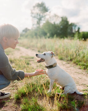 White dog giving a paw