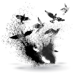 freedom concept of splatters and birds