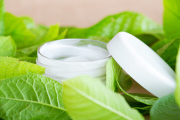 White packaging for cosmetics and green leaves on a natural paper background. Brand layout, self-care and sustainable lifestyle concept.