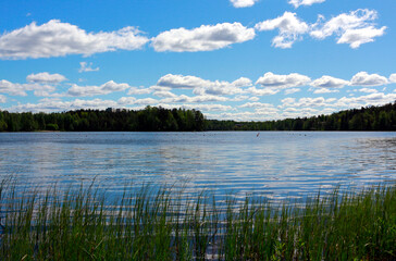 Beautiful colorful summer landscape with blue sky and fluffy clouds