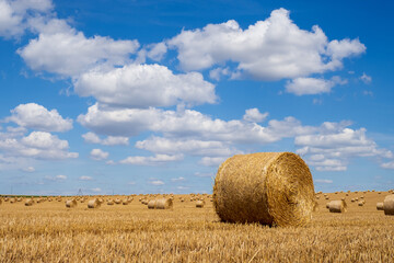 Hay bales on the field after harvest. Beautiful countryside landscape, rural nature in the farm land. Autumn, Harvesting concept.