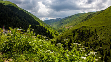 ARTVıN, SAVSAT, TURKEY, Traditional Savsat district plateau houses