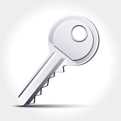 Vector key isolated on white background.