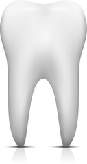 Vector tooth isolated on white background.