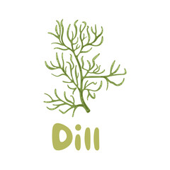 Dill, vector illustration. Isolated object of dill and greenery icon. Tasty and healthy spicy grass. For meat and vegetable dishes. Dill stock symbol for menu design, packaging, cooking book, web