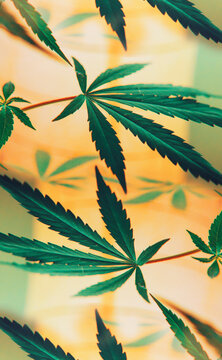 Green, vibrant and funky, abstract glitch cannabis/marijuana background