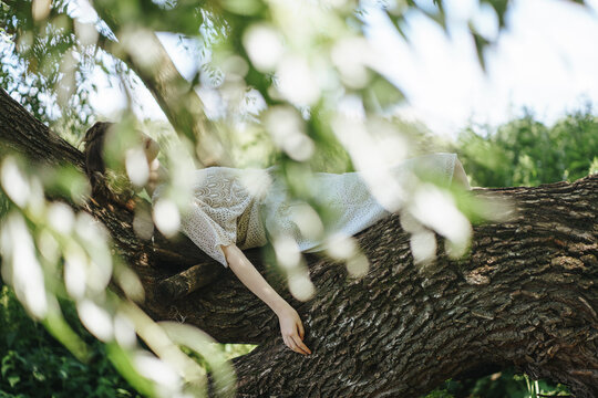 A young girl lies on a tree branch