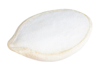 Pumpkin seeds isolated on white background. Macro