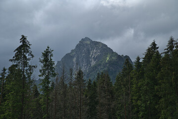 Landscape of Polish Tatra Mountains in summer
