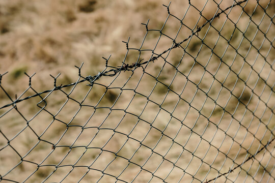 wire mesh