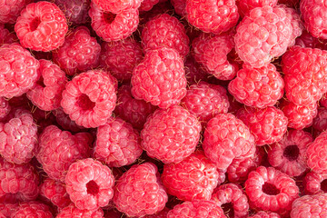 raspberries texture background. Fresh raspberries berries background
