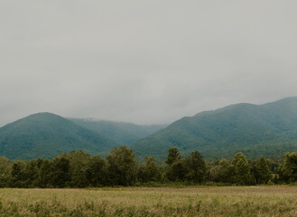 Obraz premium fog in the mountains
