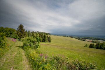 Obraz premium valley view of meadows and forests with clouds in the sky