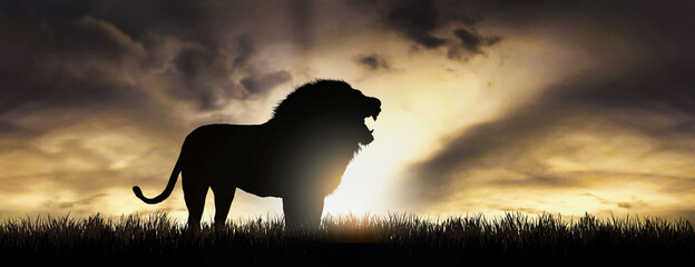 African landscape at sunset with silhouette of a big adult lion © ginettigino