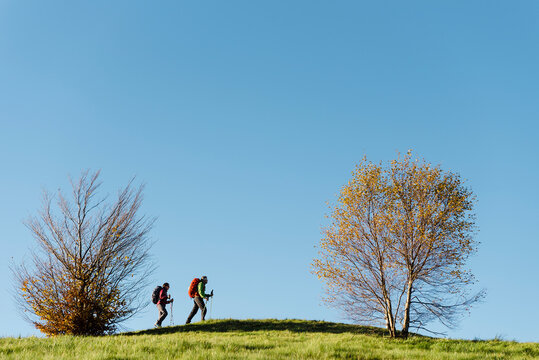 Couple of pilgrims walking between trees along the hill in Saint James Way