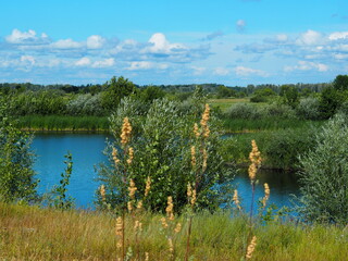 The nature of the Volga region.Russian rivers, tributaries of the Volga.