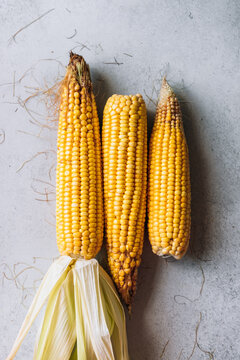 Organic corncobs