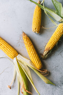 Organic corncobs