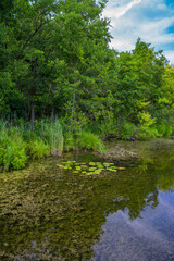 Dobbrikow - Bauernsee