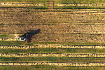 Combine harvester in field