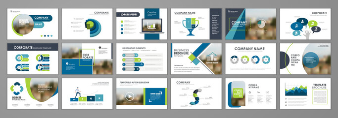 Brochure layout design template set