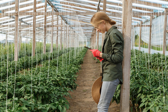 Female garden worker standing in greenhouse and using smartphone