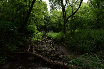 Kilen Woods State Park
