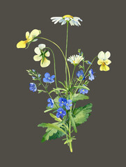Bouquet of watercolor wild violets, daisies and blue flowers. For congratulations, invitations, weddings, birthday, anniversary