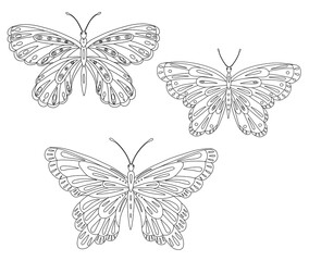 Vector Illustration of butterfly. Black and white vector illustration for coloring book. Beautiful drawings with patterns and small details. Cartoon butterfly set.