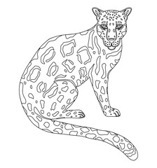 Vector Illustration of clouded leopard . Black and white vector illustration for coloring book. Beautiful drawings with patterns and small details. 