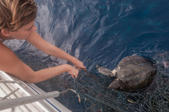 Saving Trapped Turtles