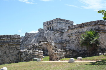 The Temple of the Inscriptions at the Maya city of Palenque in Mexico, ruins of Palenque, mayan temple, Chiapas.