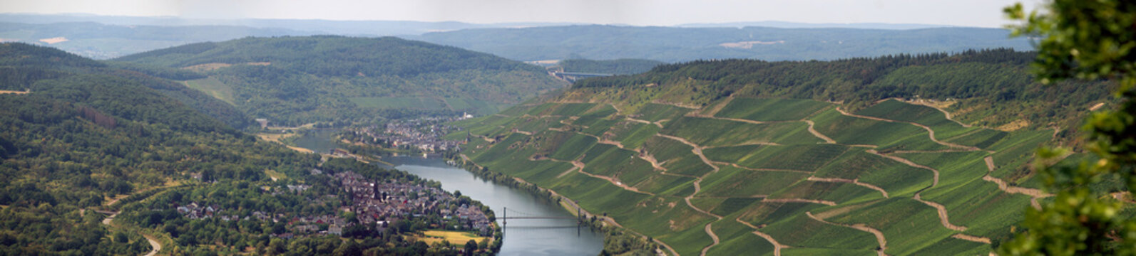Panorama Mosel bei Bernkastel-Kues/Zeltingen