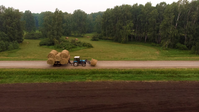 Tractor loaded with haystacks rides on road