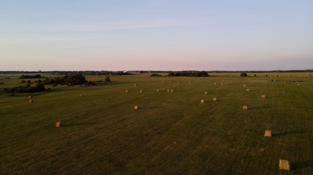 Cylindrical haystacks spread across dry endless field
