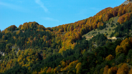 tree and nature landscape, Mountains during the spring time, lonely tree, wide green plains, nature scenes from turkey