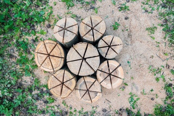 Logs with cuts are placed in a circle in the form of a flower. Around a clearing with grass, partially covered with sawdust. Preparation of compact fires. Background.