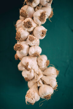 Garlic agains a green wall