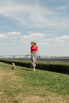 Blond girl in a red t-shirt and trousers is running on the lawn with her chihuahua dg