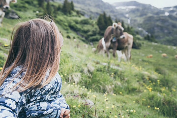 Young girl and cow in the field